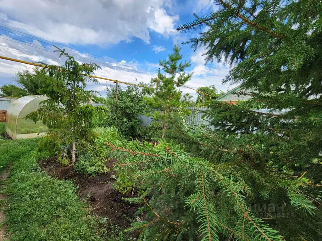 Дом в Оренбургская область, Домбаровский район, Красночабанский ... - Фото 2