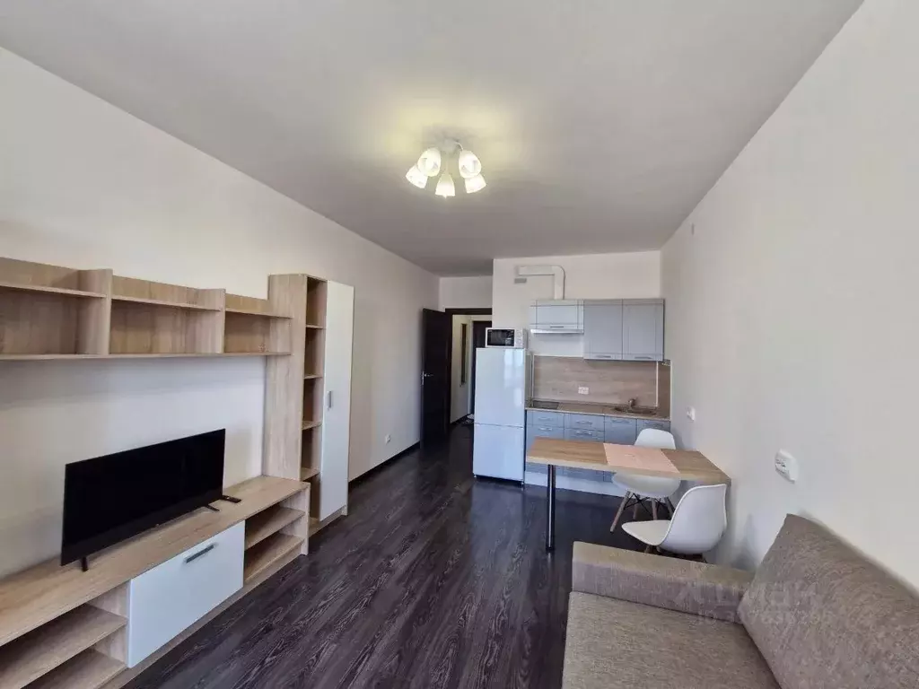 Студия Санкт-Петербург просп. Ветеранов, 183 (24.1 м) - Фото 0