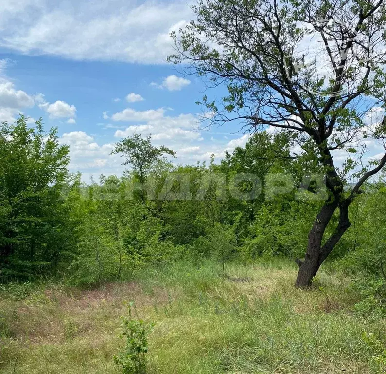 Дом в Ростовская область, Октябрьский район, пос. Персиановский, ... - Фото 1