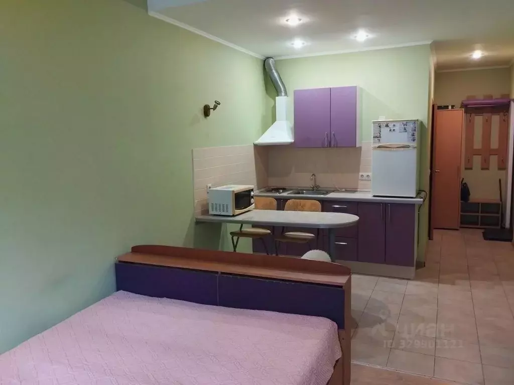 Студия Московская область, Реутов Юбилейный просп., 63 (30.0 м) - Фото 2