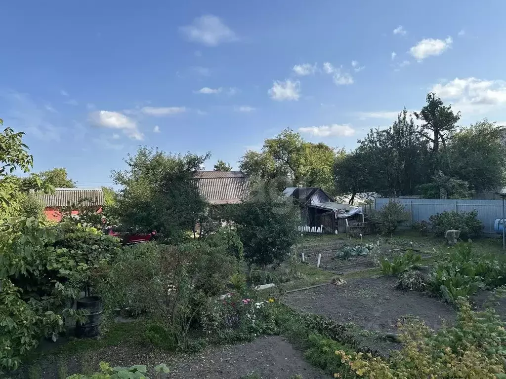 Участок в Брянская область, Брянск Родина садоводческое объединение,  ... - Фото 1