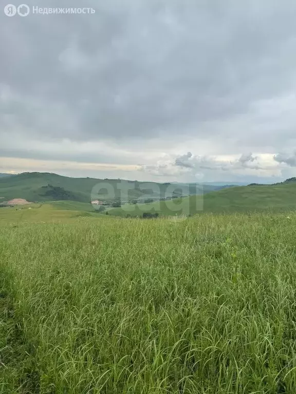 Участок в Алтайский район, ДНТ Жемчужина Алтая (9 м) - Фото 0