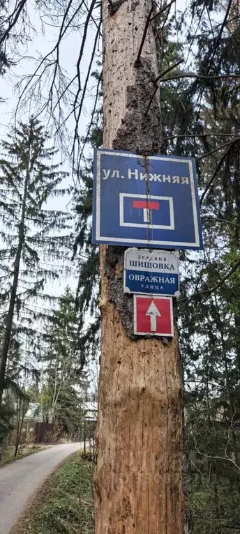 Помещение свободного назначения в Московская область, Солнечногорск ... - Фото 2