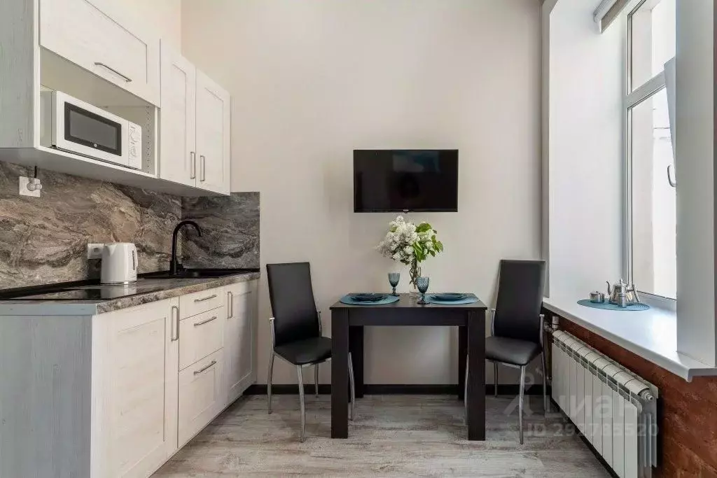 1-к кв. Санкт-Петербург Владимирский просп., 10 (18.0 м) - Фото 2