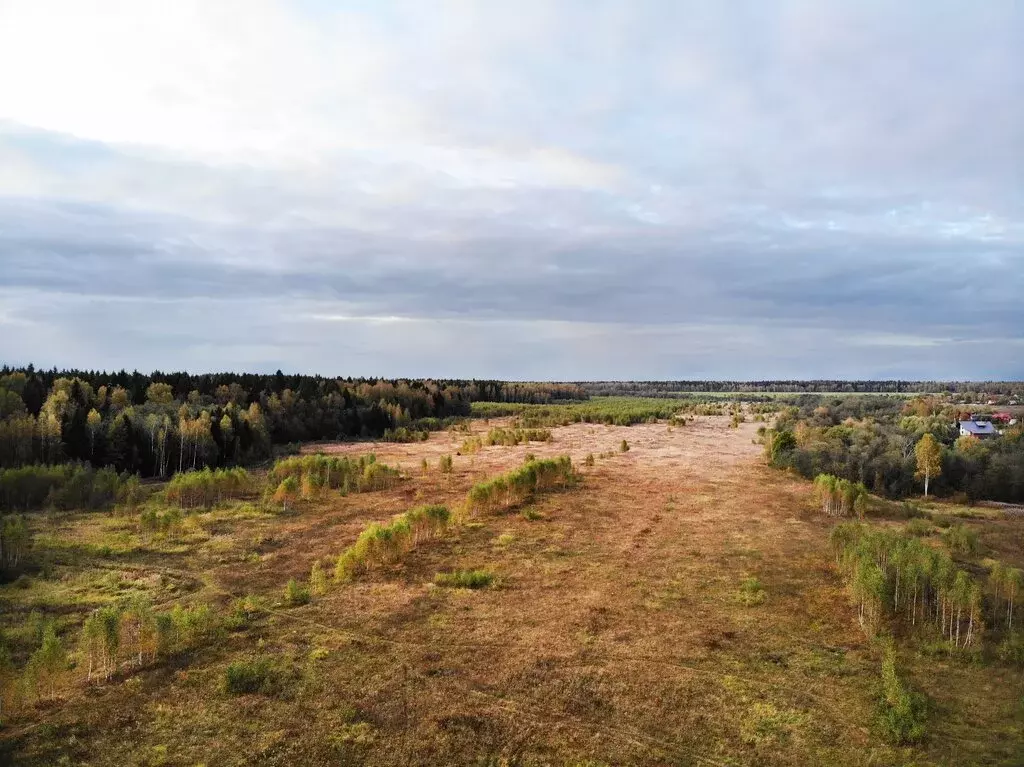Участок в Наро-Фоминский городской округ, деревня Настасьино, 7 (9.66 ... - Фото 1