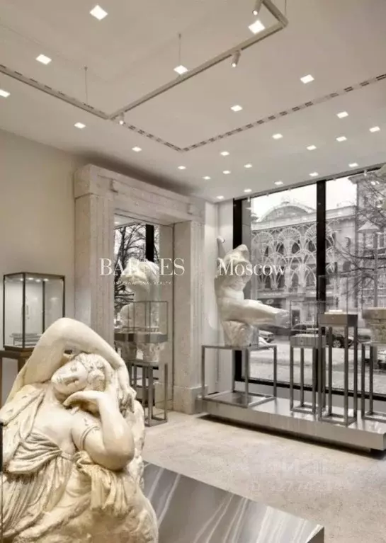 Помещение свободного назначения в Москва ул. Петровка, 5 (212 м) - Фото 1