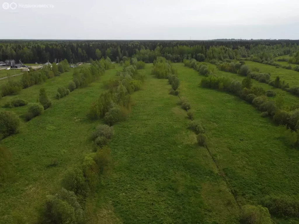 Участок в Всеволожский район, Романовское сельское поселение, посёлок ... - Фото 1