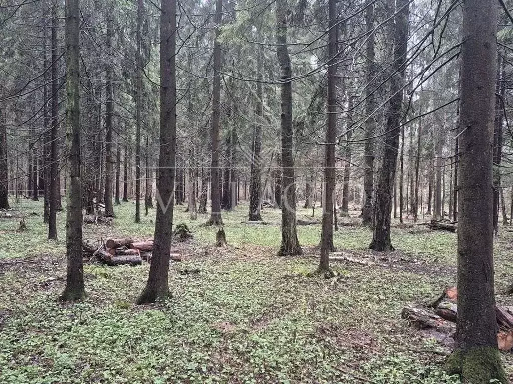 Участок в Московская область, Одинцовский городской округ, д. Дарьино  ... - Фото 1