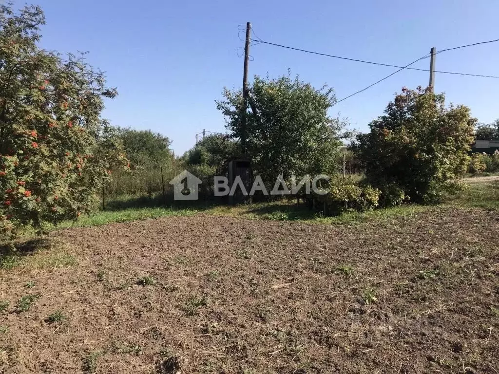 Участок в Владимирская область, Суздальский район, с. Новоалександрово ... - Фото 0