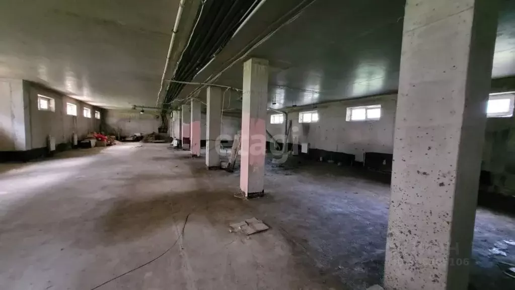 Помещение свободного назначения в Вологодская область, Череповецкий ... - Фото 1