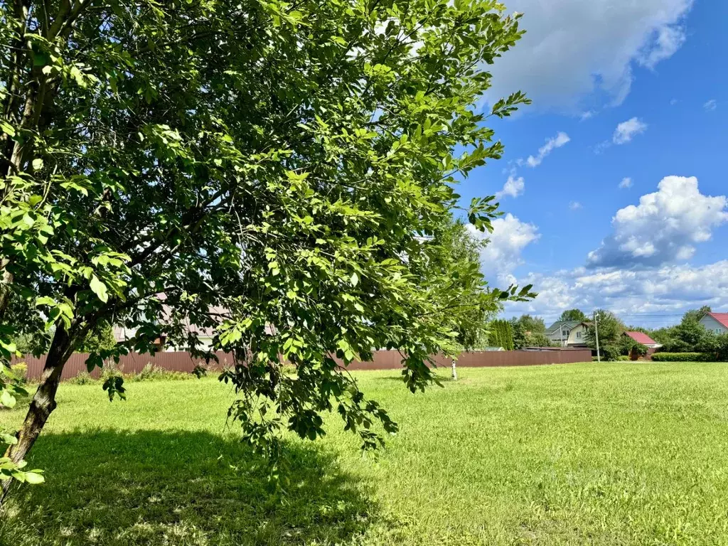 Участок в Московская область, Дмитровский муниципальный округ, д. ... - Фото 1