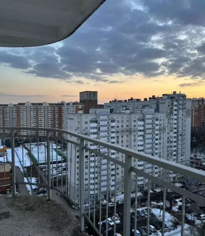 3-к кв. Московская область, Балашиха Авиаторов мкр, ул. Кожедуба, 4 ... - Фото 2