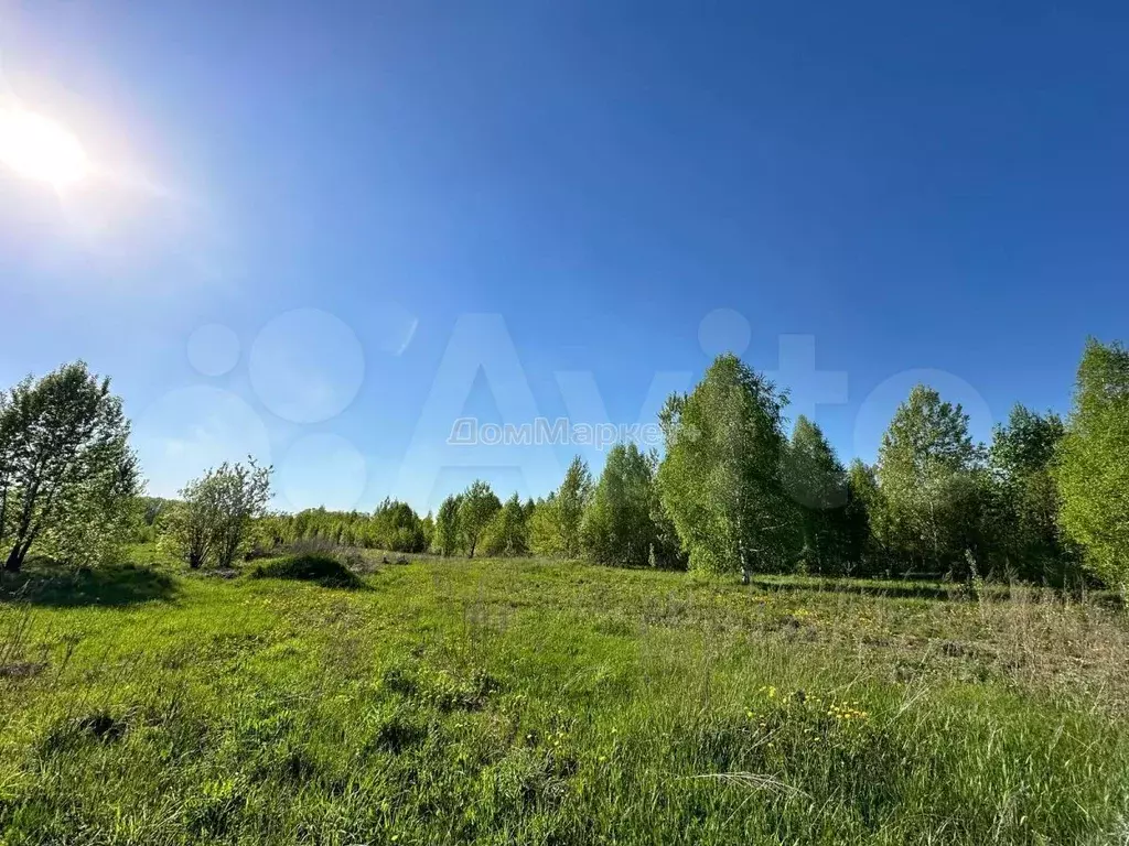 Участок 17 сот. (ИЖС) - Фото 1