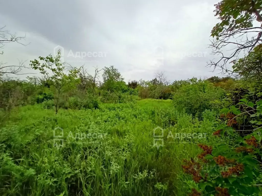 Участок в Волгоградская область, Волгоград Дзержинец СНТ, ... - Фото 1
