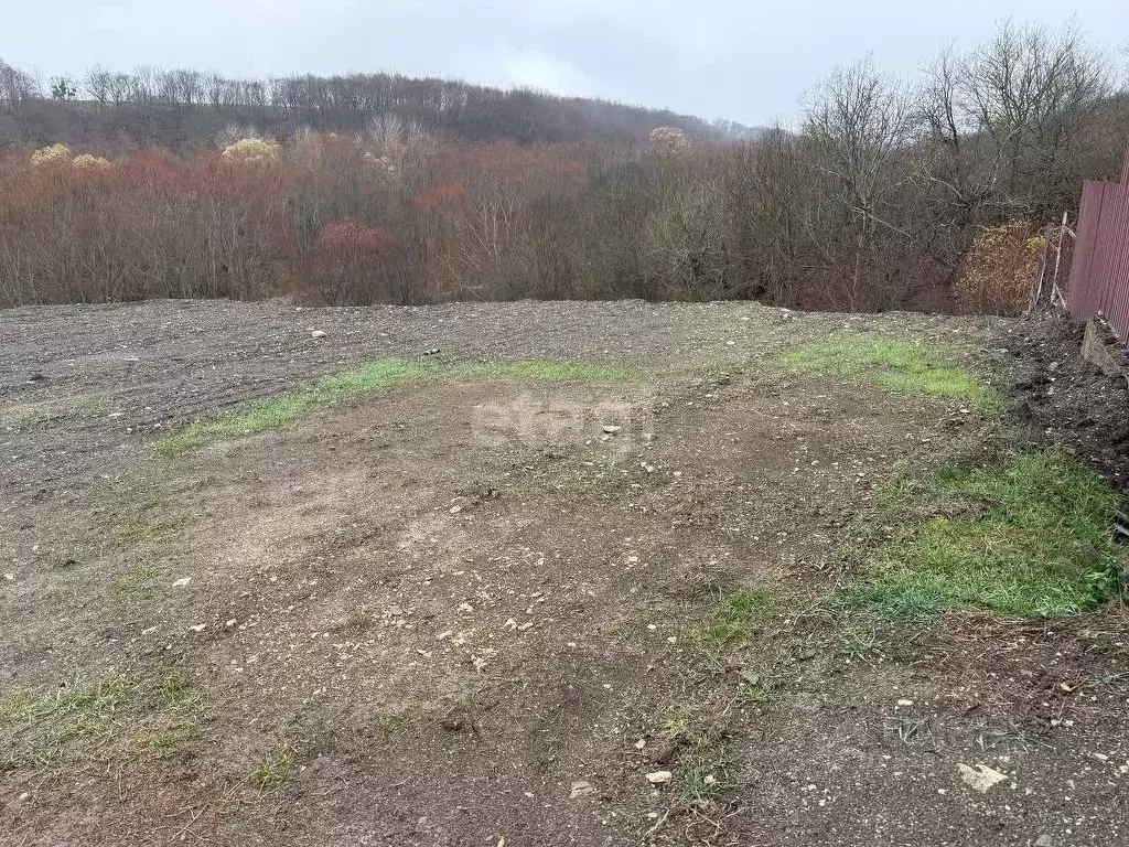 Участок в Краснодарский край, Новороссийск городской округ, Раевская ... - Фото 0
