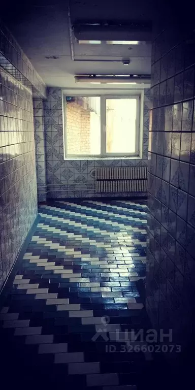 Помещение свободного назначения в Челябинская область, Кыштым ... - Фото 2