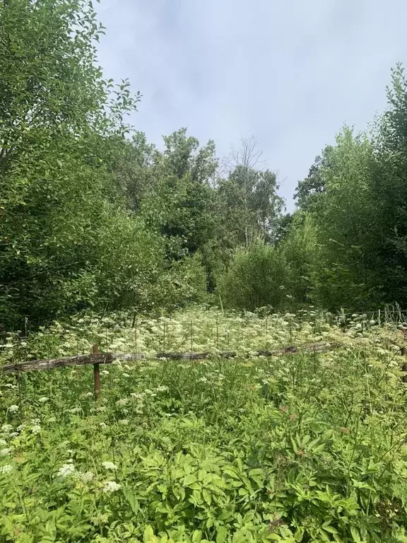 участок в калужская область, калуга городской округ, д. лихун (15.0 . - Фото 0