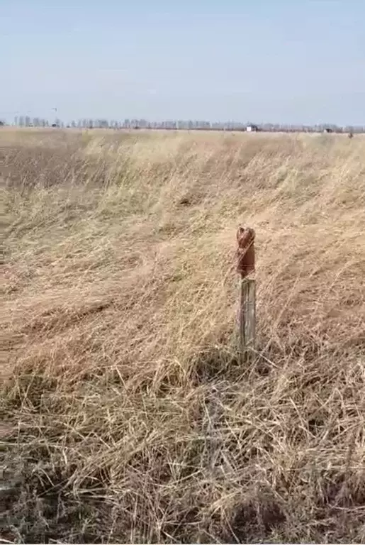Участок в Тамбовская область, Тамбов ул. Челнавская (7.18 сот.) - Фото 1