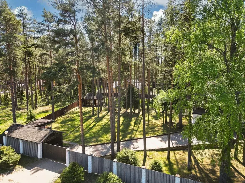 Участок в Ленинградская область, Всеволожский район, Сертоловское ... - Фото 1