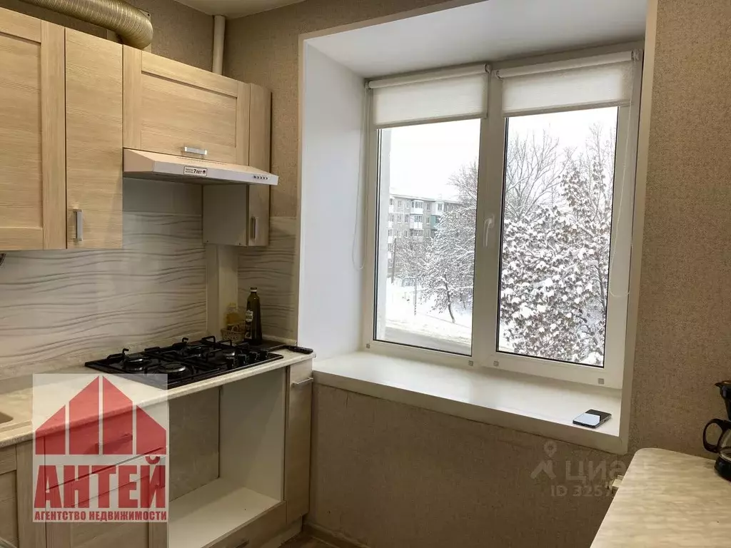 3-к кв. Нижегородская область, Павлово ул. Аллея Ильича, 50 (61.5 м) - Фото 1