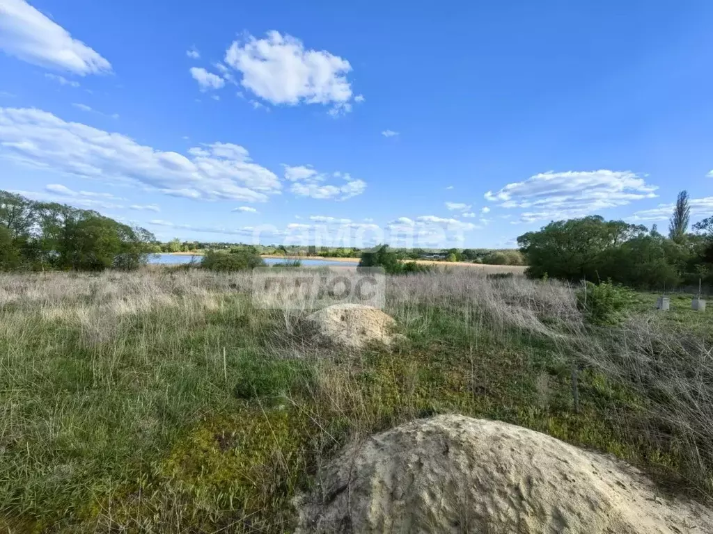 Участок в Курская область, Щигры ул. Кирова, 144 (17.0 сот.) - Фото 2