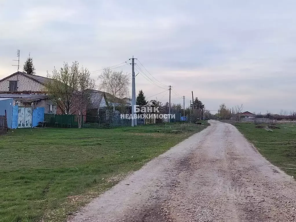 Участок в Саратовская область, Балаковский район, Натальинское ... - Фото 1