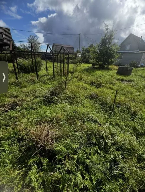 Участок в Ленинградская область, Всеволожский район, Рахьинское ... - Фото 1