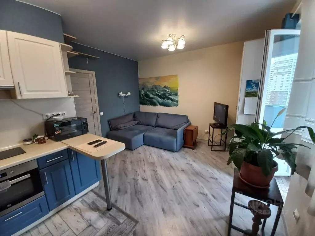 Студия Санкт-Петербург просп. Королева, 69 (25.6 м) - Фото 1