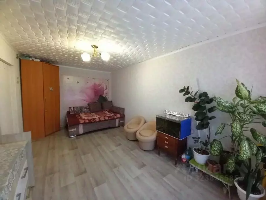 1-к кв. Пермский край, Березники ул. Ермака, 68 (30.3 м) - Фото 2