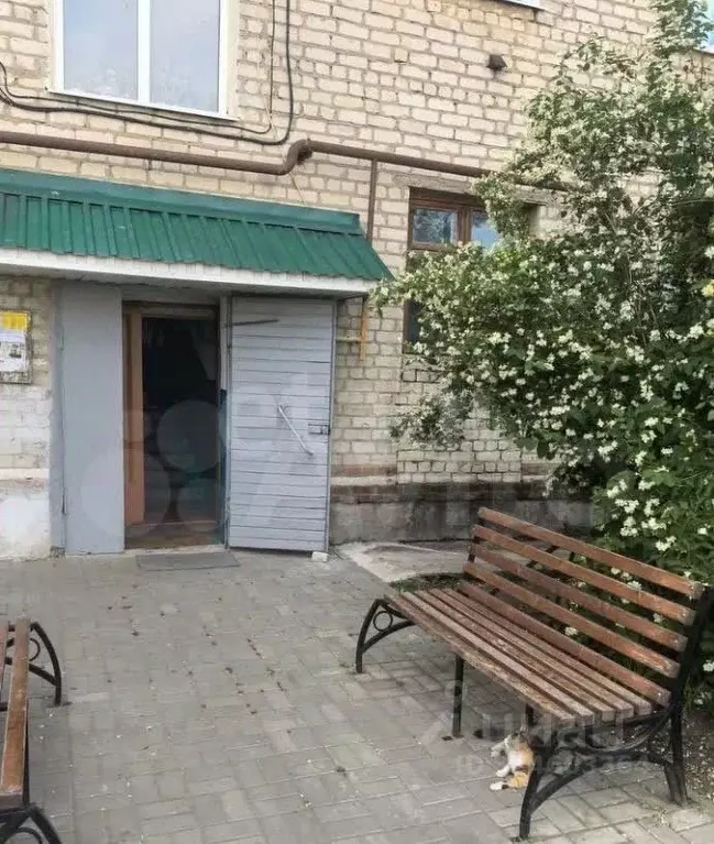 3-к кв. Воронежская область, Поворино ул. Гагарина, 5 (54.0 м) - Фото 1