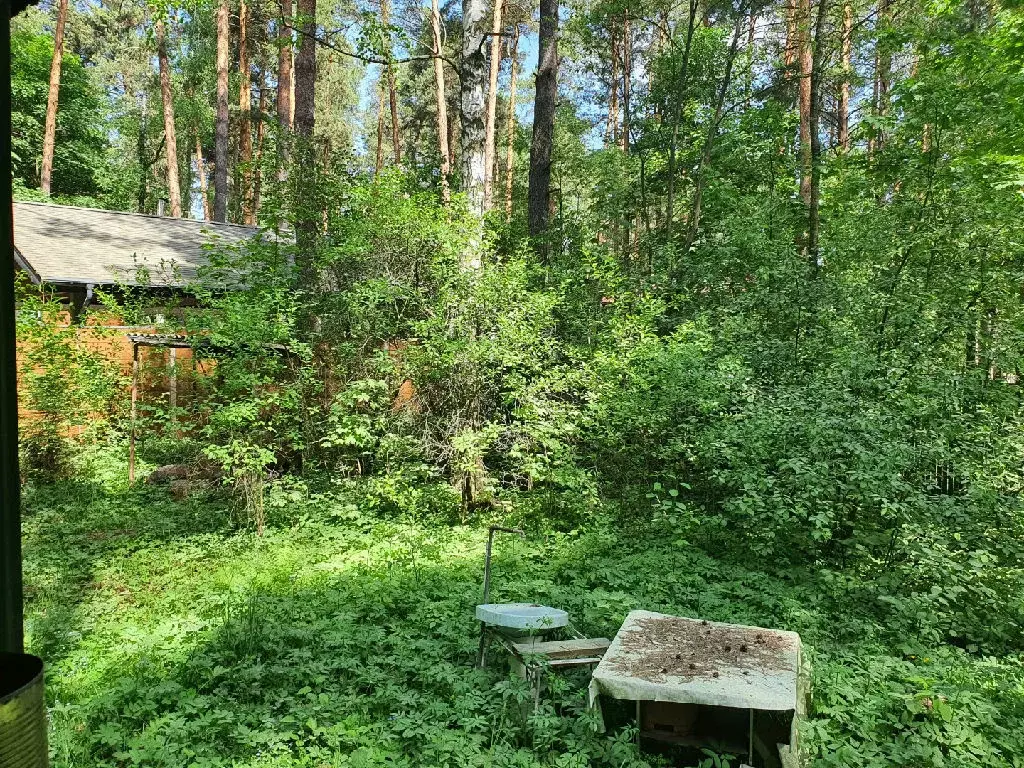 Продается участок в дп Кратово - Фото 2