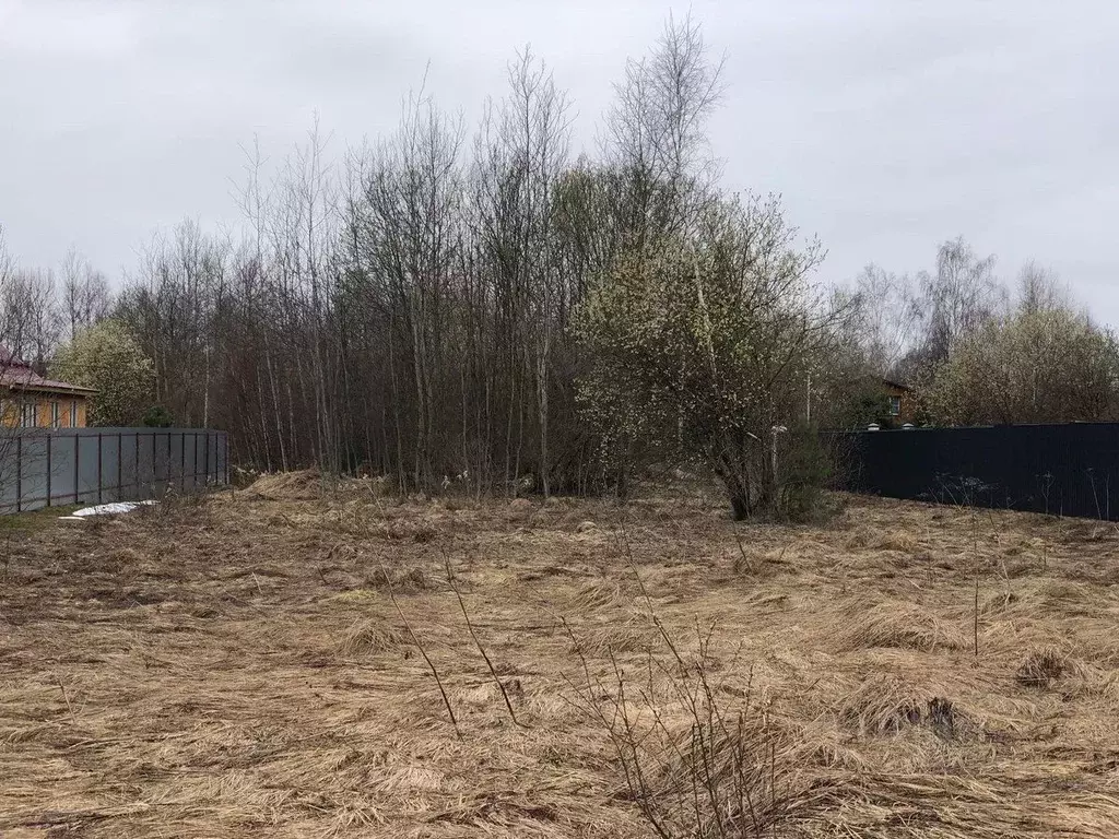 Участок в Московская область, Раменский муниципальный округ, д. ... - Фото 2