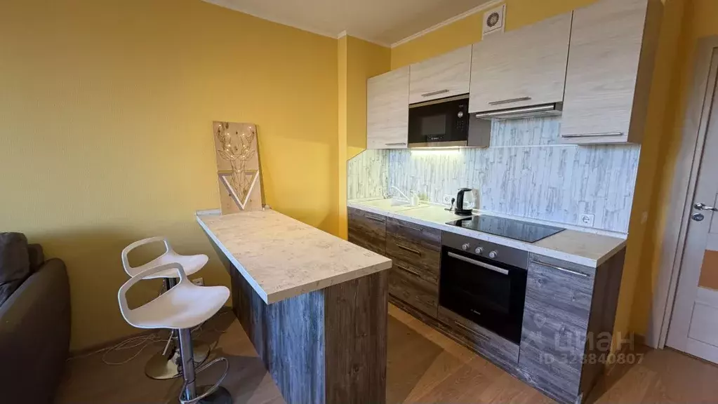 Студия Санкт-Петербург просп. Энергетиков, 9к6 (28.0 м) - Фото 1