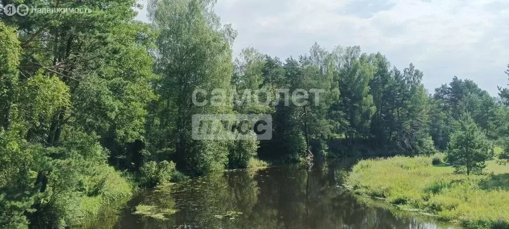 Участок в Ярославская область, Переславль-Залесский муниципальный ... - Фото 1