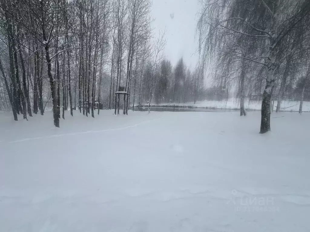 Участок в Московская область, Богородский городской округ, д. Ново  ... - Фото 1