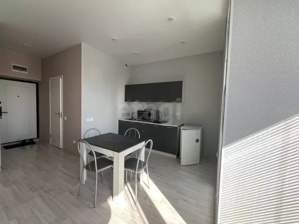 Студия Татарстан, Казань ул. Азата Аббасова, 21А (30.7 м) - Фото 1