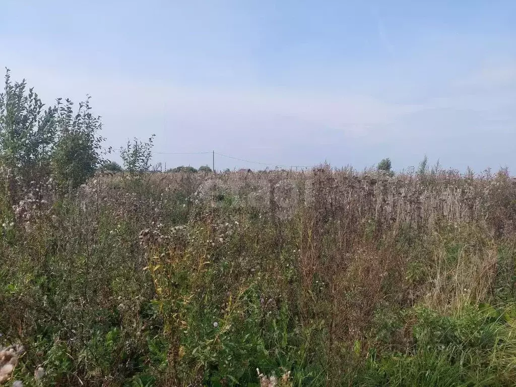 Участок в Вологодская область, пос. Ермаково ул. Александровская ... - Фото 2