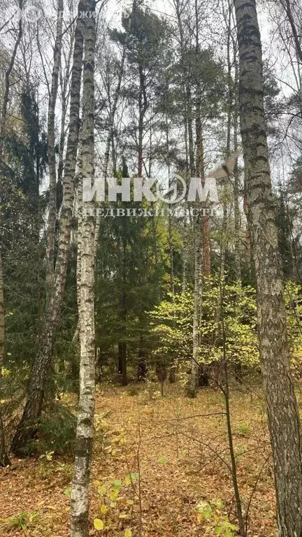 Участок в Московская область, муниципальный округ Чехов, деревня ... - Фото 2