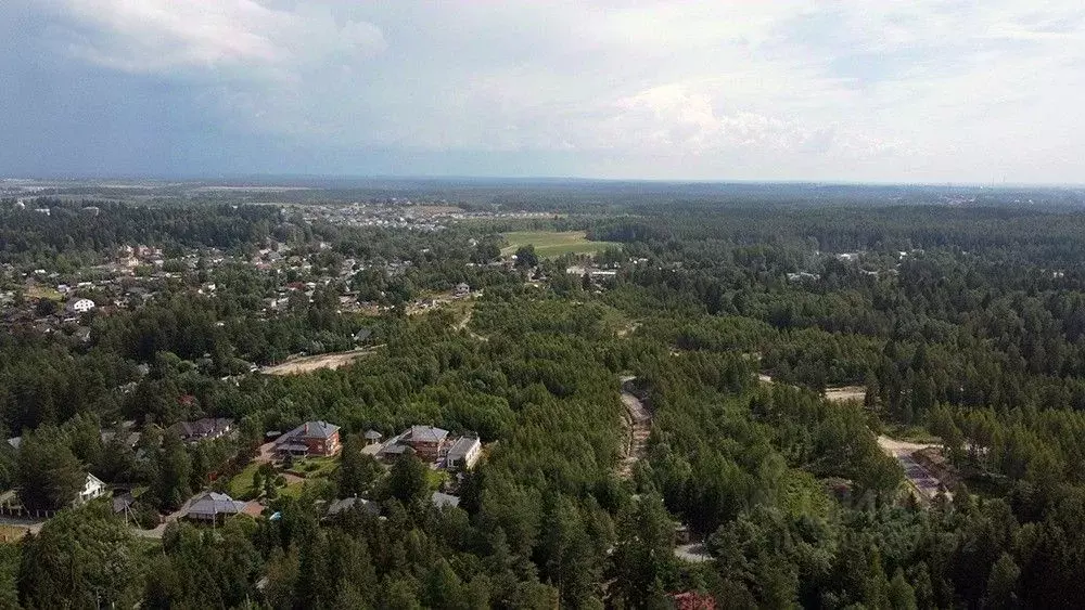 Участок в Ленинградская область, Всеволожский район, Агалатовское ... - Фото 1