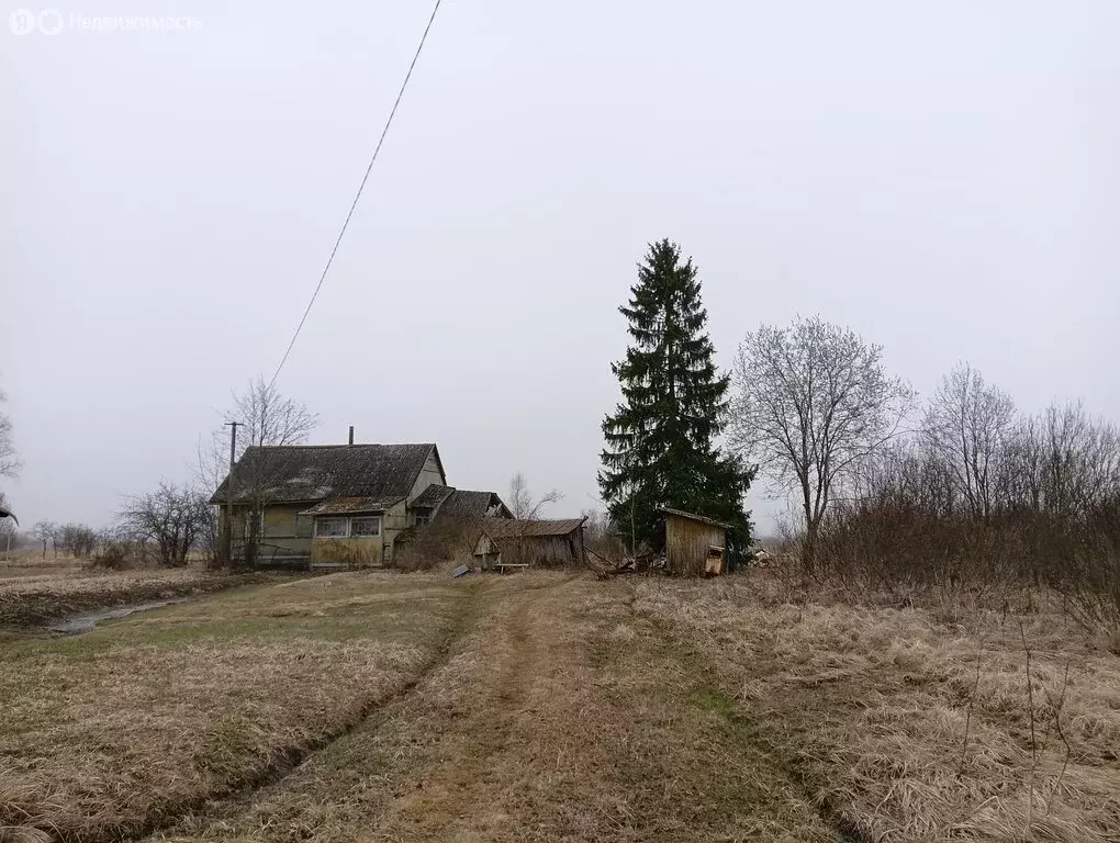 Дом в Чудовский район, Успенское сельское поселение, деревня Зуево ... - Фото 1