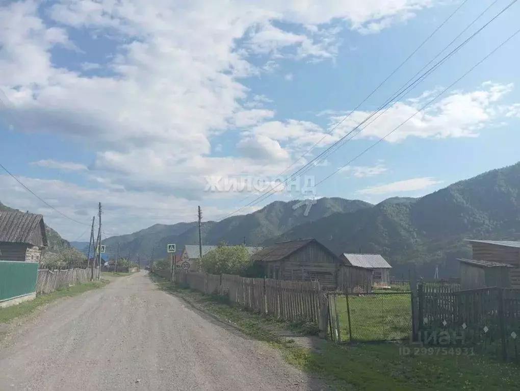 участок в алтай, чемальский район, с. куюс центральная ул. (11.0 сот.) - Фото 1