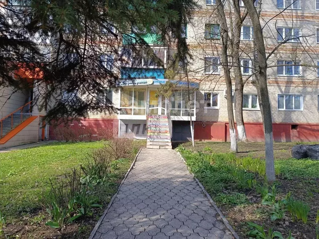 Помещение свободного назначения в Курская область, Курск ул. Карла ... - Фото 1