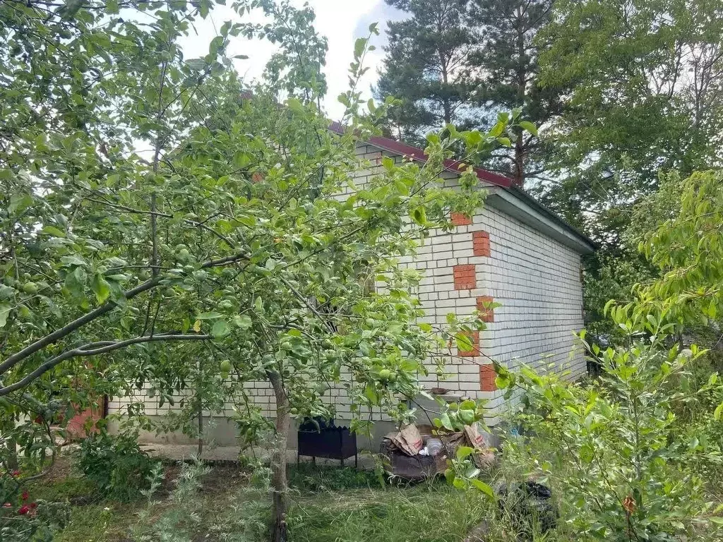 Дом в Саратовская область, Татищевский район, Вязовское муниципальное ... - Фото 2