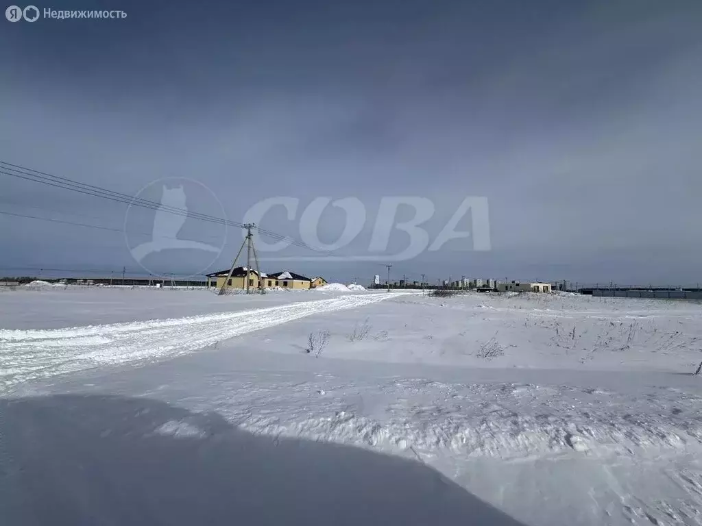 Участок в Тюменский муниципальный округ, деревня Падерина (8.4 м) - Фото 1