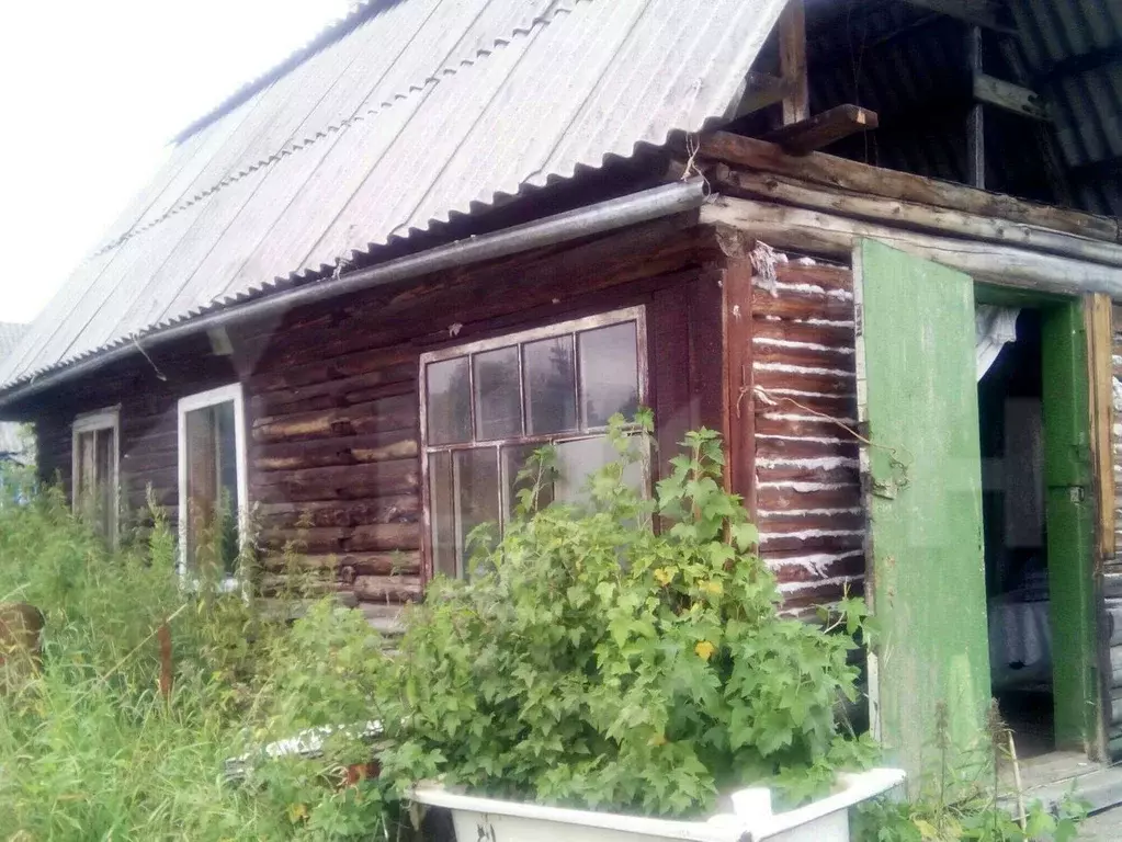 Погода жуковка красноярский. Бадаложный Красноярский край. Бадаложная Красноярский край деревня. Козульский район Красноярского края. Жуковка Козульский район Красноярского края.