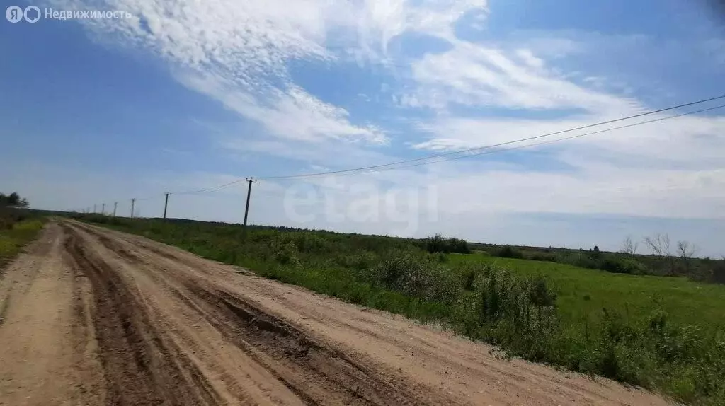 Участок в Тюменский район, село Борки (49.24 м) - Фото 1