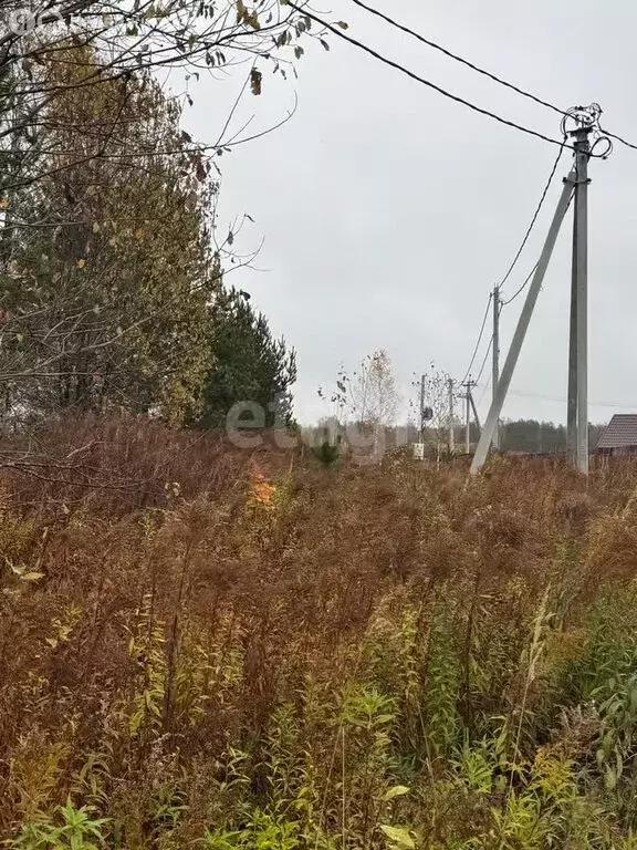 Участок в Нижегородская область, Городецкий муниципальный округ, ... - Фото 1