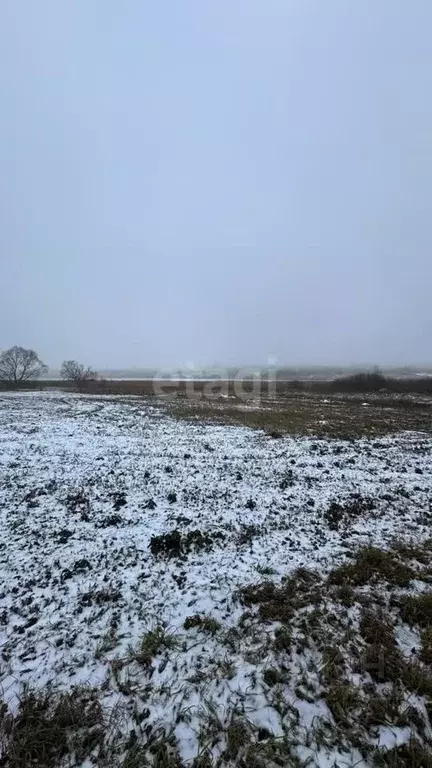 Участок в Курская область, Курский район, Щетинский сельсовет, д. ... - Фото 1