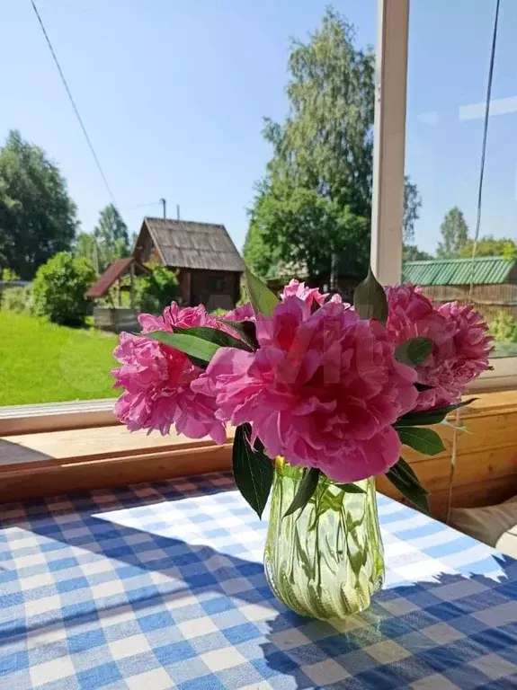 Дача 50 м на участке 14 сот. - Фото 1