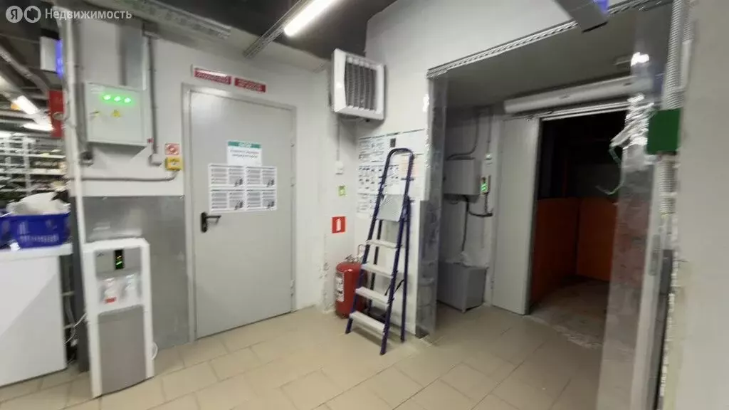 Помещение свободного назначения (522.4 м) - Фото 1